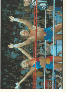 WWF Panini 1995 Sticker Collection Skip and Sunny No.223