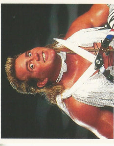 WWF Merlin Stickers 1991 Brutus Beefcake No.224