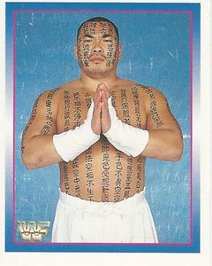 WWF Merlin Stickers 1995 Hakushi No.226