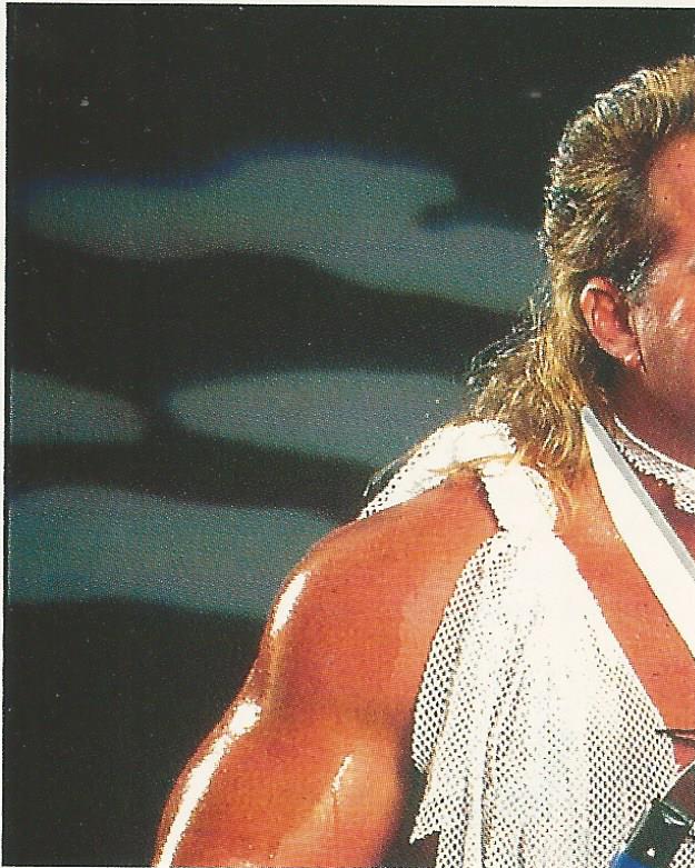 WWF Merlin Stickers 1991 Brutus Beefcake No.226