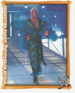 WWE Topps Superstars Uncovered 2007 Sticker Collection Ric Flair P7