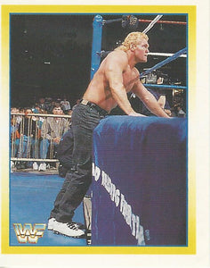 WWF Merlin Stickers 1995 Sid No.228