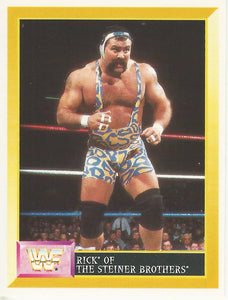 WWF Merlin Sticker Collection 1994 Steiner Brothers No.228