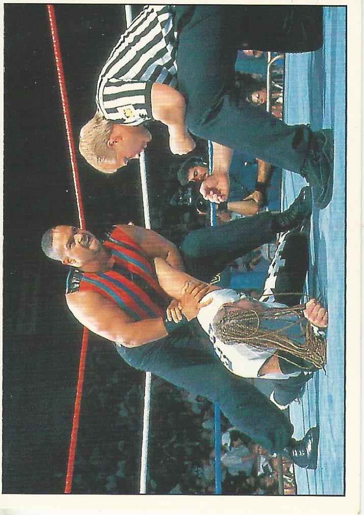 WWF Panini 1995 Sticker Collection Savio Vega No.229