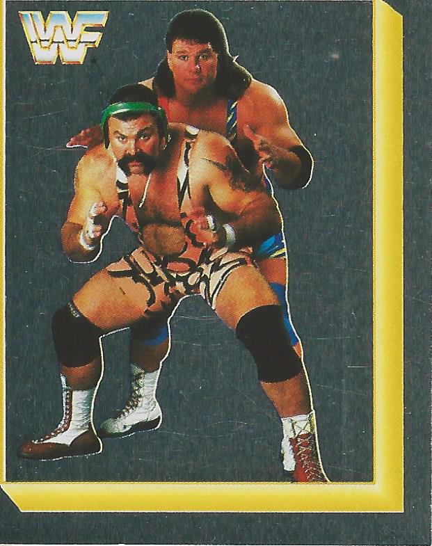 WWF Merlin Sticker Collection 1994 Steiner Brothers No.229