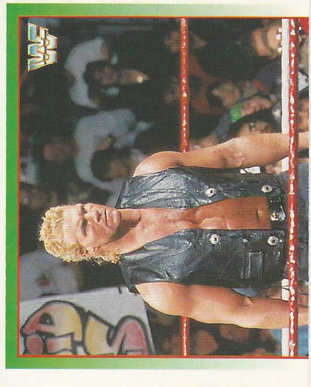 WWF Merlin Stickers 1995 Sid No.229