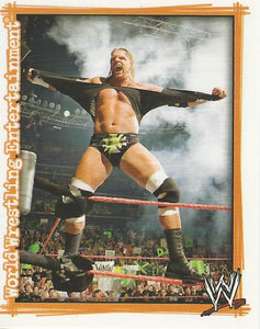 WWE Topps Superstars Uncovered 2007 Sticker Collection Triple H P10