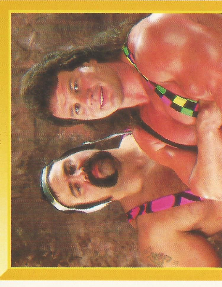 WWF Merlin Sticker Collection 1994 Steiner Brothers No.233