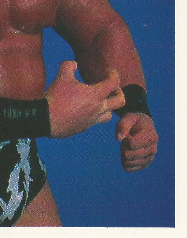 WWF Merlin Stickers 1991 Warlord No.234