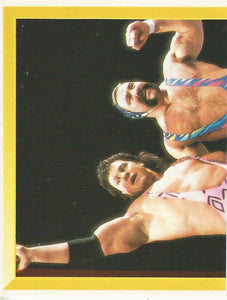 WWF Merlin Sticker Collection 1994 Steiner Brothers No.236