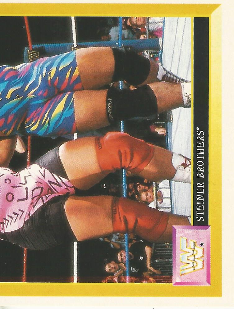 WWF Merlin Sticker Collection 1994 Steiner Brothers No.237