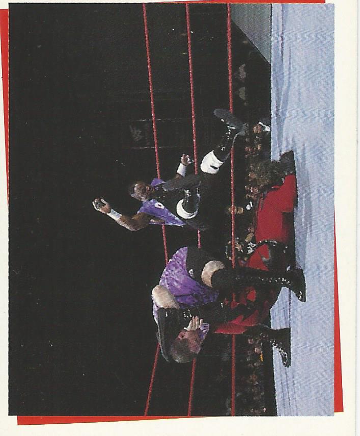 WWF Smackdown Stickers 2000 Dudley Boyz No.239