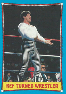 Topps WWF Wrestling Cards 1987 Danny Davis No.23