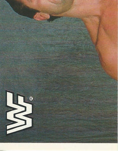 WWF Merlin Sticker Collection 1990 Rick Rude No.23