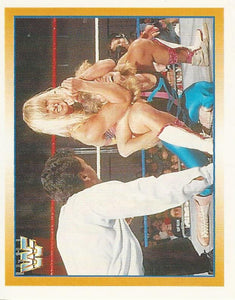 WWF Merlin Stickers 1995 Alundra Blayze No.240