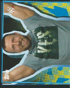 WWE Topps Road to Wrestlemania Stickers 2021 Daniel Bryan No.240