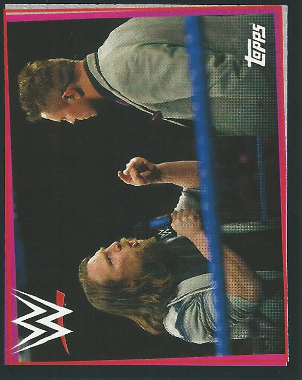 WWE Topps Road to Wrestlemania Stickers 2021 Daniel Bryan No.242