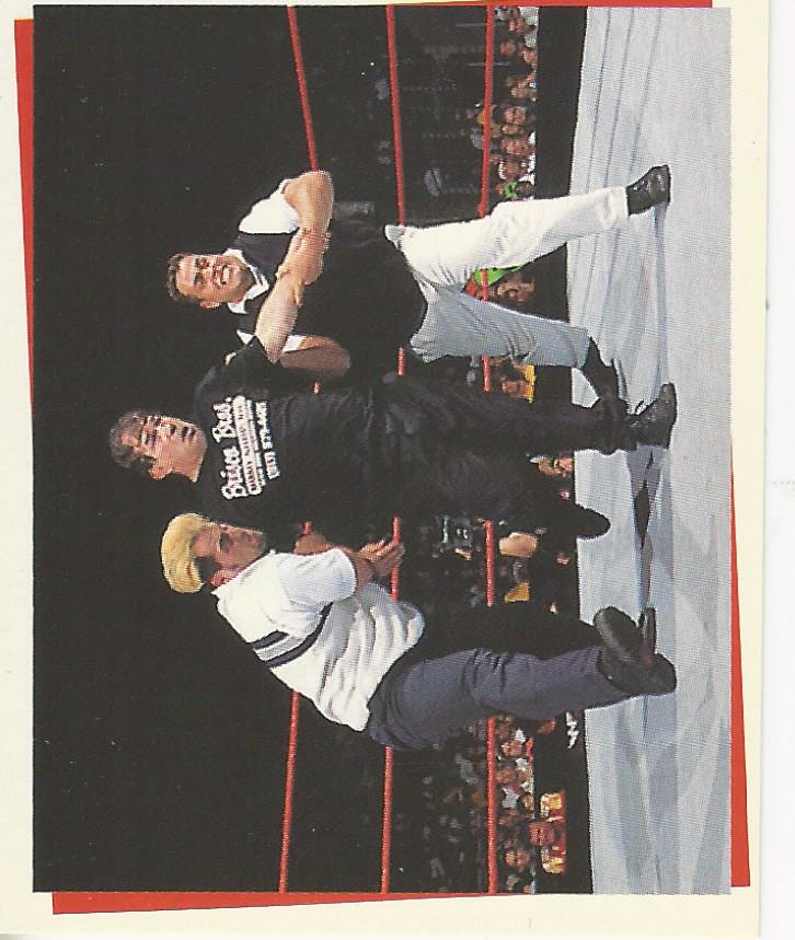 WWF Smackdown Stickers 2000 Mean Street Posse No.242