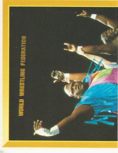 WWF Merlin Sticker Collection 1994 Men on a Mission No.246