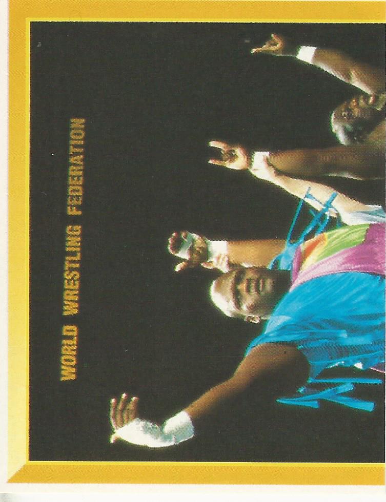 WWF Merlin Sticker Collection 1994 Men on a Mission No.246