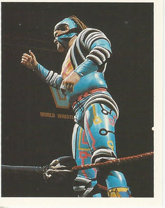 WWF Merlin Stickers 1992 Max Moon No.24