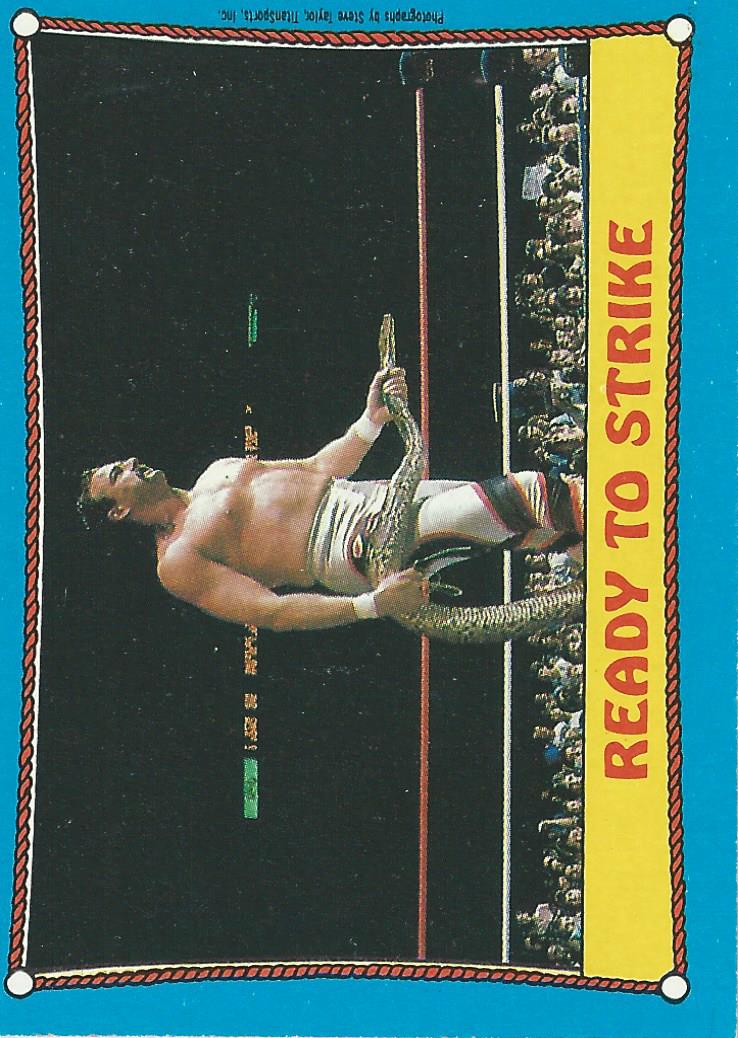 Topps WWF Wrestling Cards 1987 Jake the Snake Roberts No.24