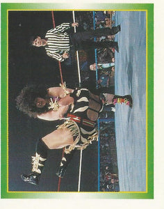 WWF Merlin Stickers 1995 Bertha Faye No.251