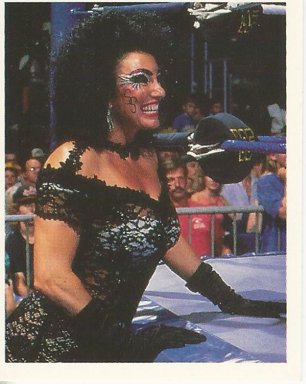 WWF Merlin Stickers 1992 Sensational Sherri No.252