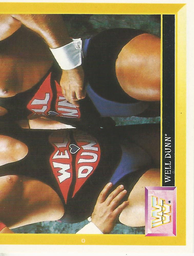 WWF Merlin Sticker Collection 1994 Well Dunn No.252