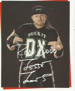 WWF Smackdown Stickers 2000 Road Dogg No.253