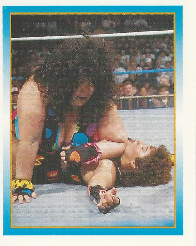 WWF Merlin Stickers 1995 Bertha Faye No.254