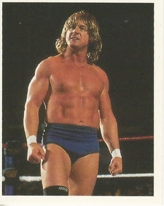 WWF Merlin Stickers 1992 Roddy Piper No.255