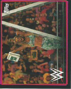 WWE Topps Road to Wrestlemania Stickers 2021 Carmella No.255