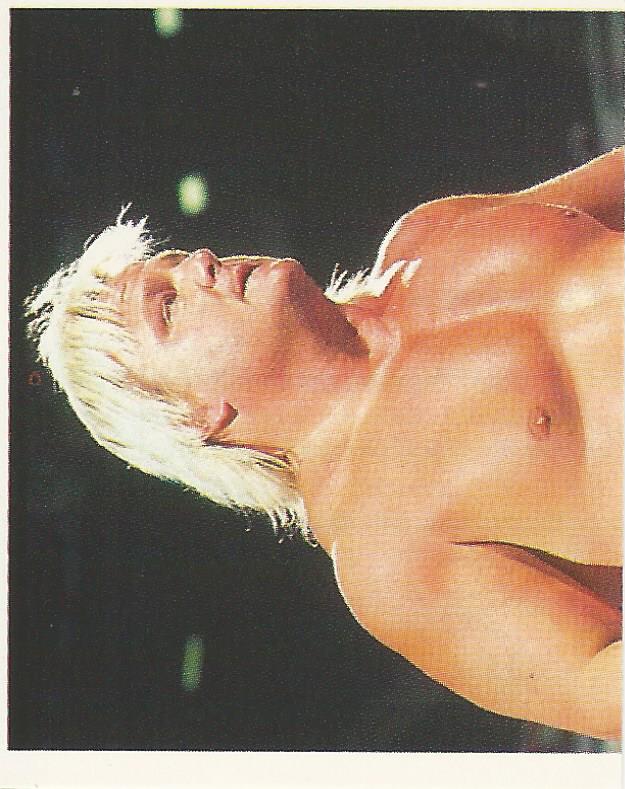 WWF Merlin Stickers 1991 Greg Valentine No.257