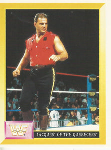 WWF Merlin Sticker Collection 1994 Quebecers No.257