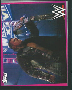 WWE Topps Road to Wrestlemania Stickers 2021 The Miz No.258