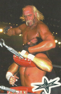 WCW Crazy Planet Stickers 1999 Hulk Hogan