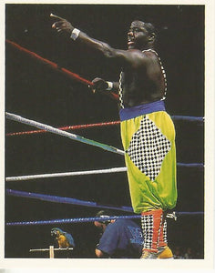 WWF Merlin Stickers 1992 Koko B Ware No.261