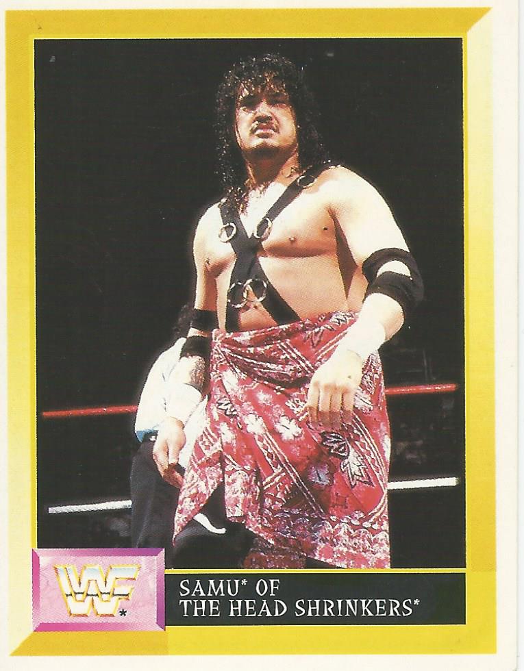 WWF Merlin Sticker Collection 1994 Headshrinkers No.261