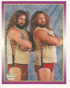 WWF Merlin Stickers 1995 Jacob and Eli Blu No.262