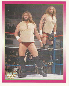 WWF Merlin Stickers 1995 Jacob and Eli Blu No.263