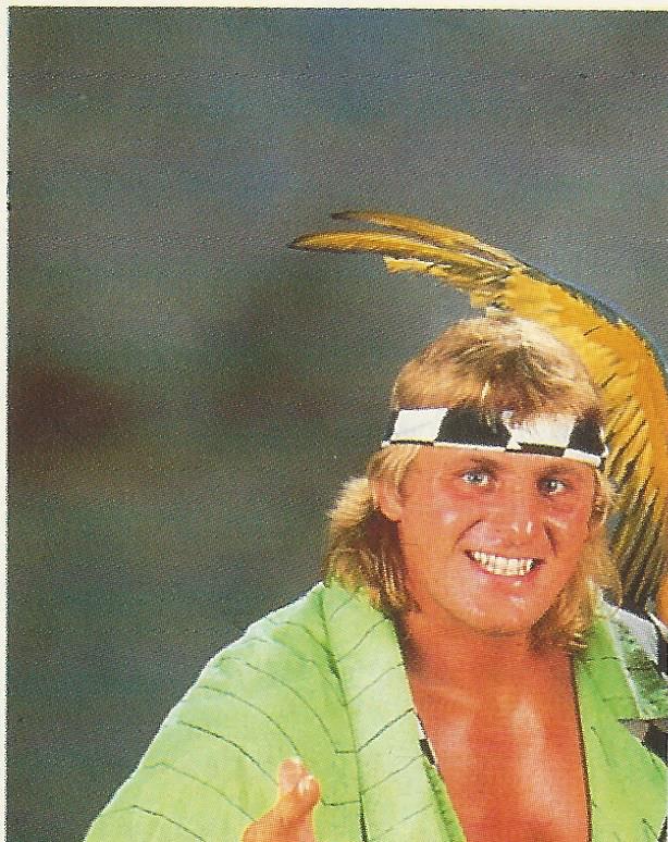 WWF Merlin Stickers 1992 High Energy Owen Hart No.264