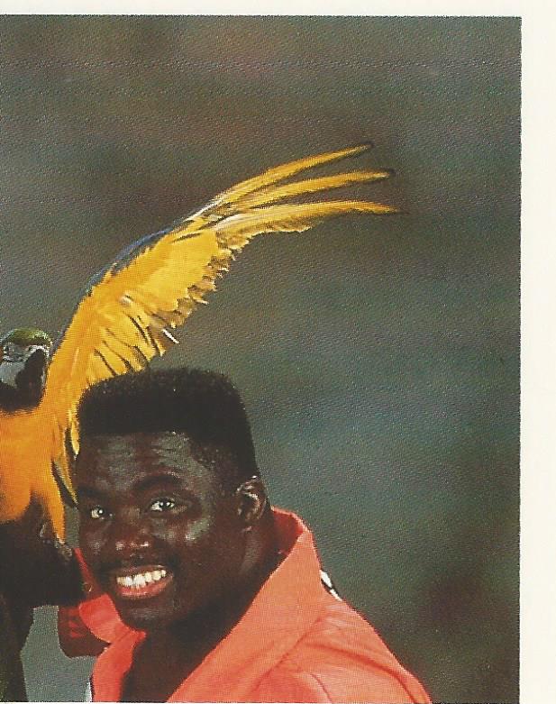 WWF Merlin Stickers 1992 Koko B Ware No.265