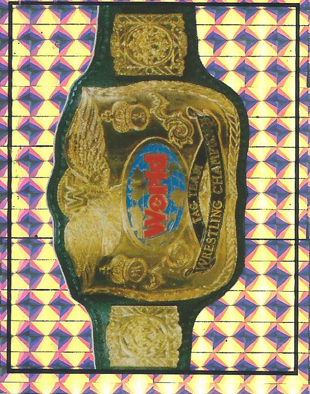 WWF Merlin Sticker Collection 1994 No.300