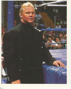 WWF Merlin Stickers 1992 Mr Perfect No.271