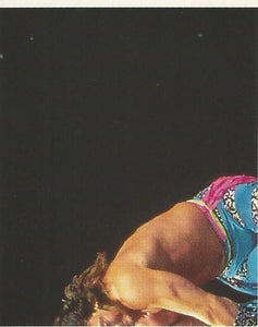 WWF Merlin Stickers 1991 Marty Jannetty No.271