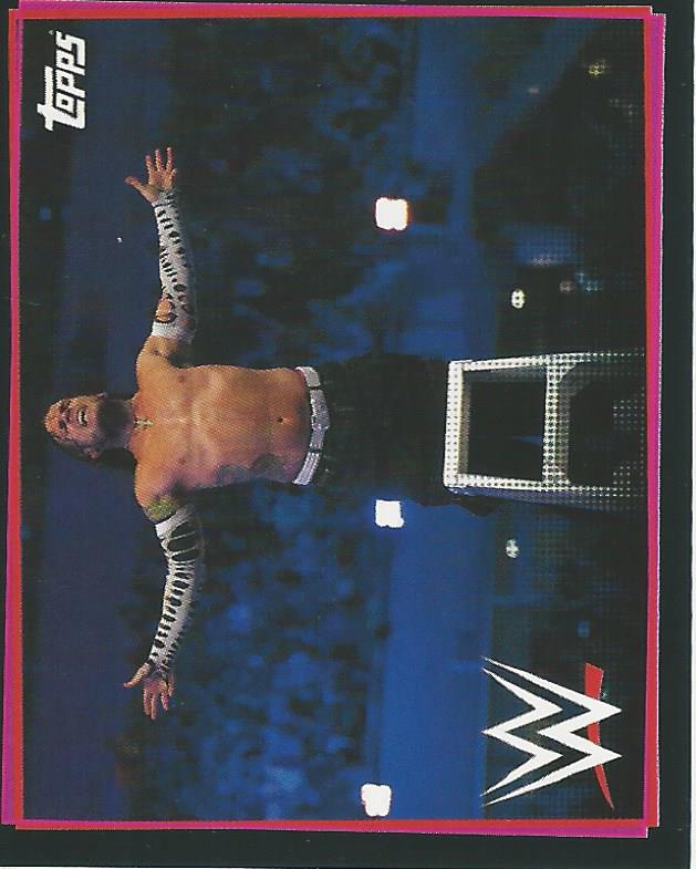 WWE Topps Road to Wrestlemania Stickers 2021 Jeff Hardy No.279