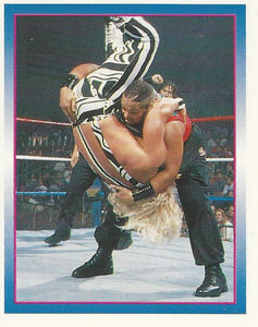 WWF Merlin Stickers 1995 Savio Vega No.282