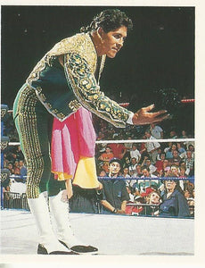 WWF Merlin Stickers 1991 El Matador No.282