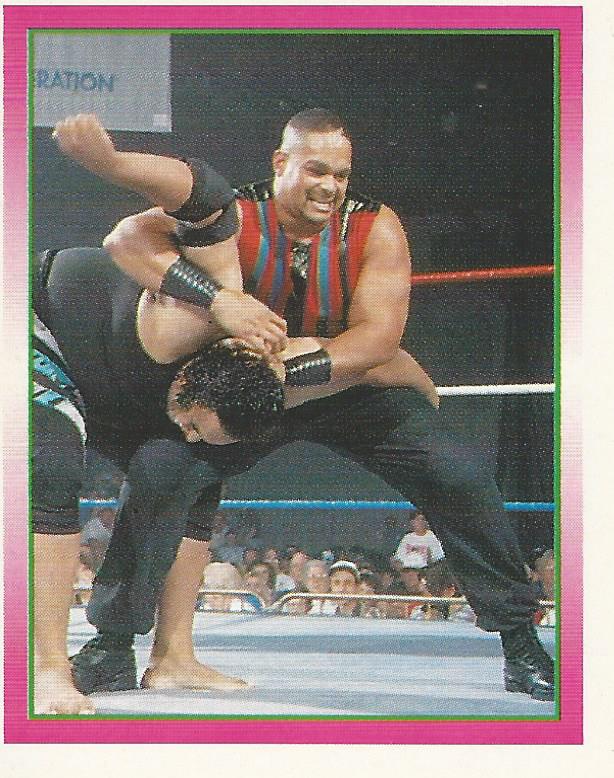 WWF Merlin Stickers 1995 Savio Vega No.283